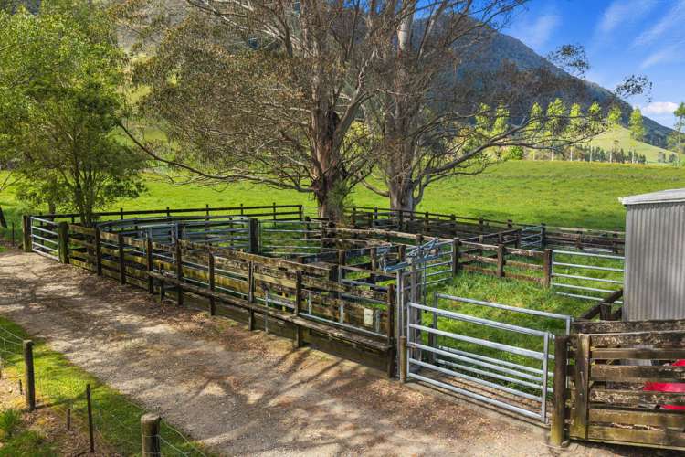 650 Ronga Road Rai Valley_4