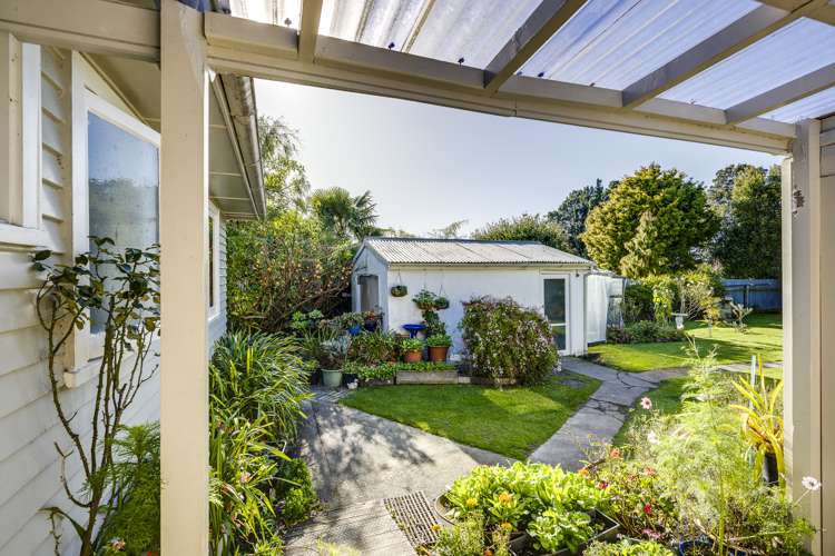 60 Napier Street Jervoistown_13