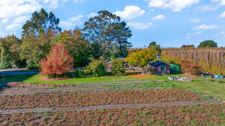 768 Marshland Road Styx_24