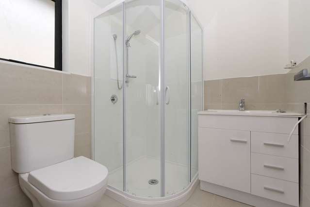 14a Carlton Street Hillsborough_2