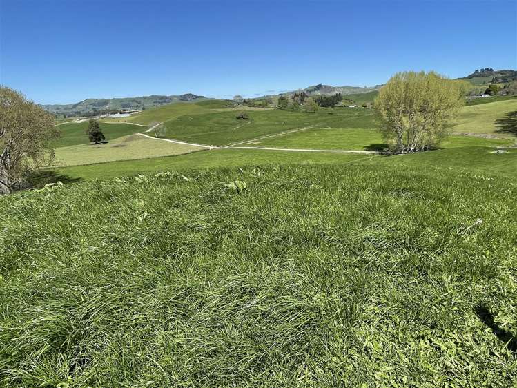 135 Whataroa Road Te Kuiti_7