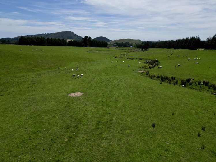 56 Hillfoot Road Clinton_7