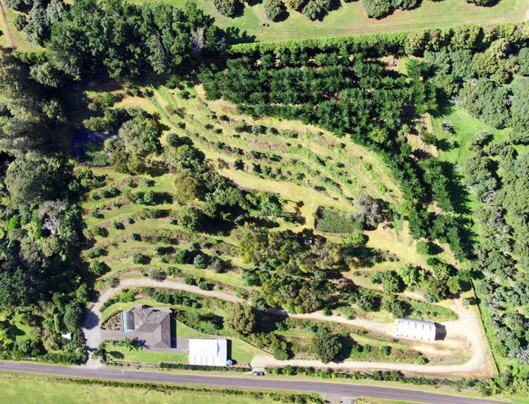 189 Thompsons Track Aongatete_30