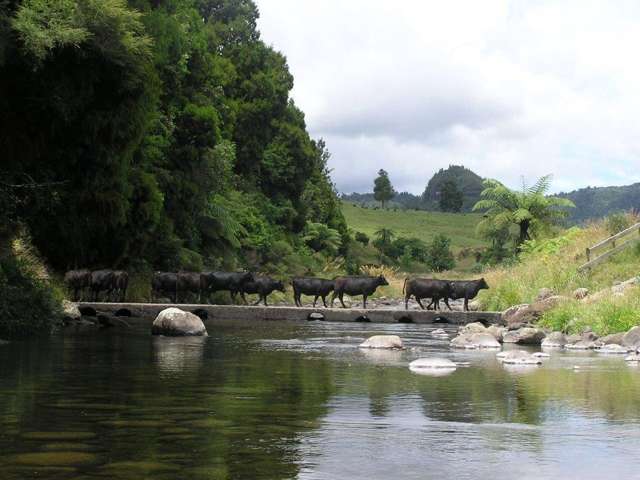 249 Franklin Road Waihi_4