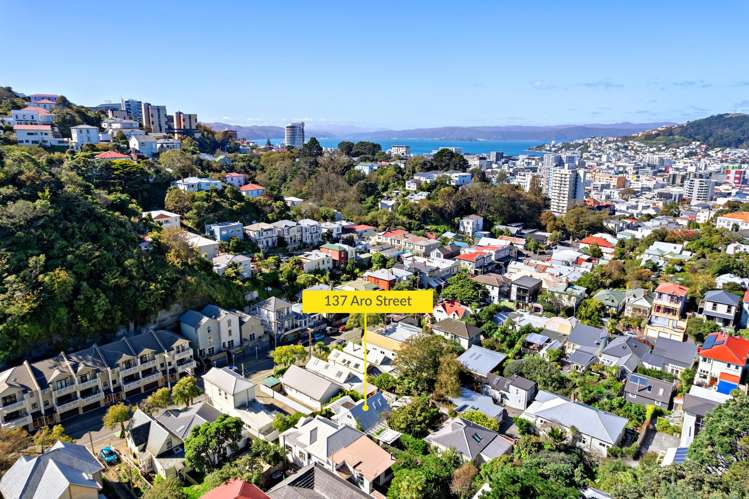 137 Aro Street Aro Valley_22