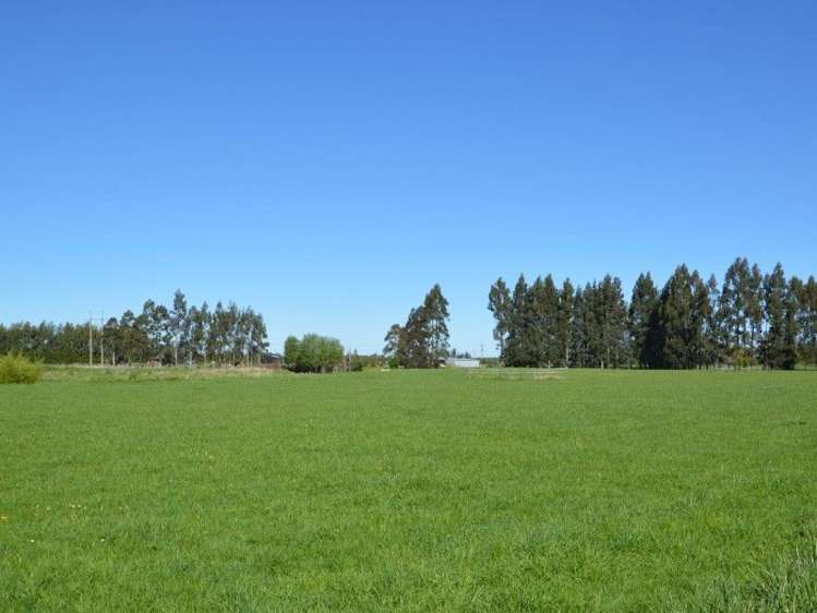 110 Price Road Winton_9