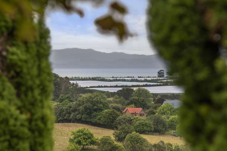 68 Clark Road Karaka_24