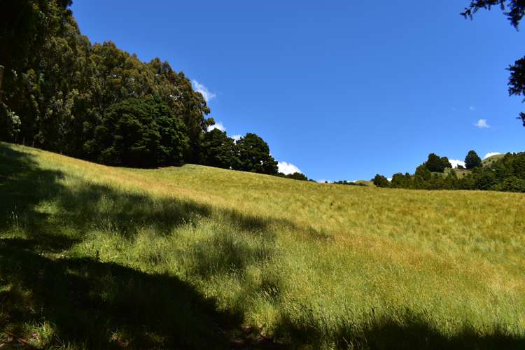 1809 Motueka Valley Highway Ngatimoti_2