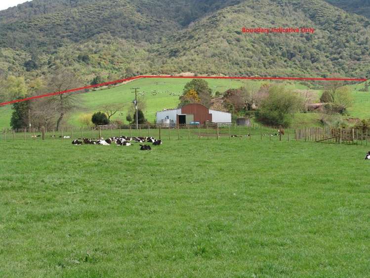 246 Kakepuku Road Te Awamutu_19