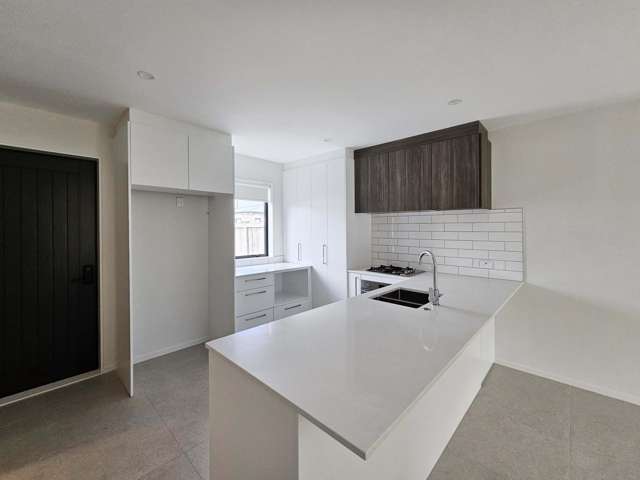 41 Adlam Lane Takanini_2