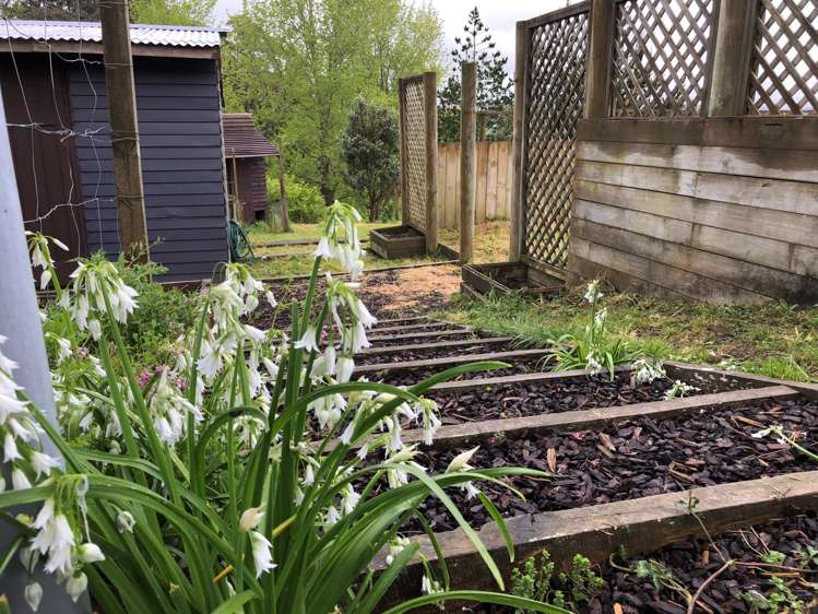 2775 Paparoa-Oakleigh Road Paparoa_14