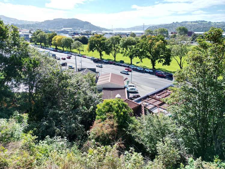 20 Maitland Street Dunedin Central_8