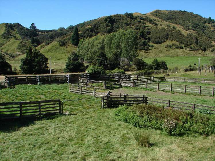 839 Ruatiti Road Raetihi_13