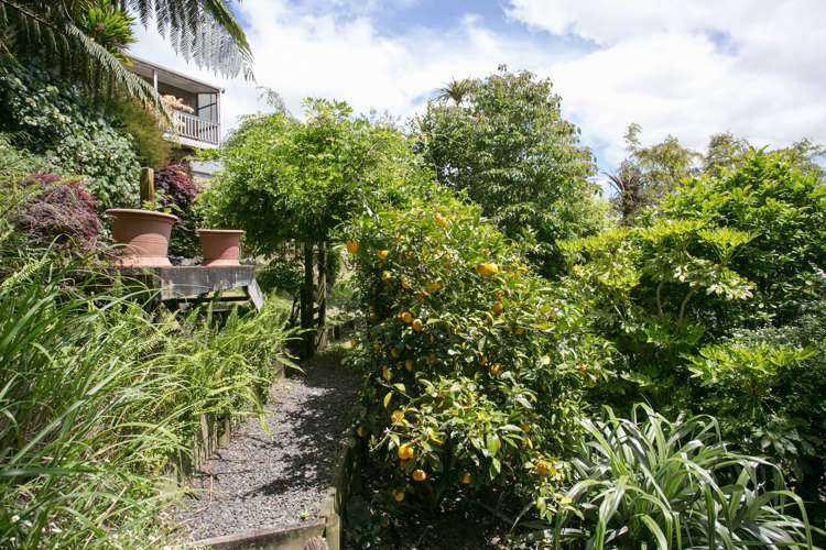 33 Hillcrest Street Tirau_16