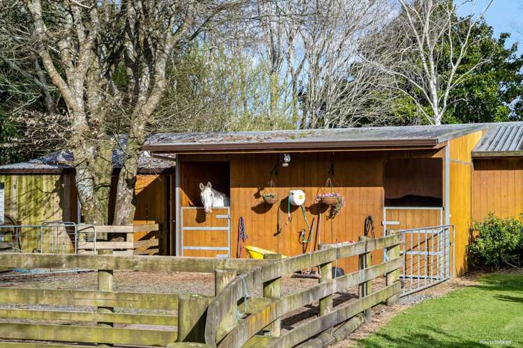 170 Parish Line Road Clevedon_14