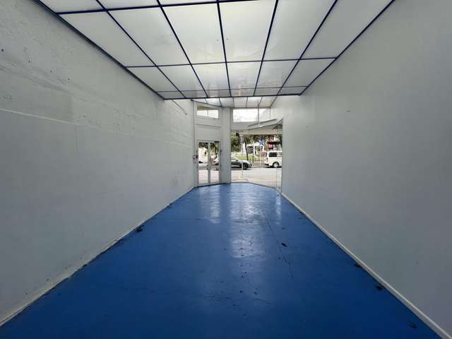 66 Ghuznee St Te Aro_1