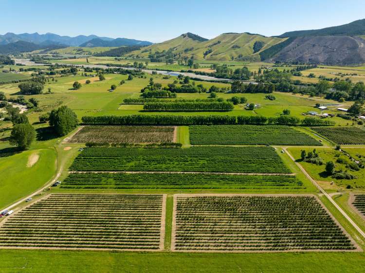 160 Tadmor Valley Road Tapawera_6