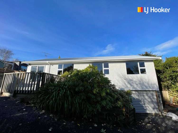 154 Larnach Road Waverley_14