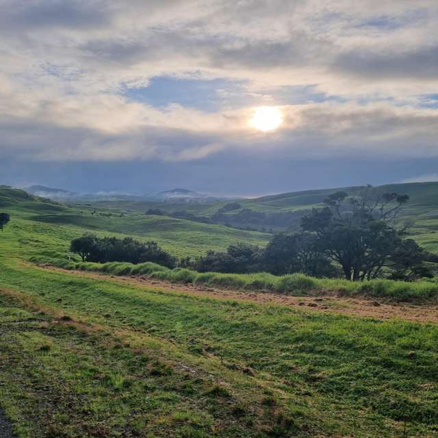 83 Hinamoki Drive Kaiwaka_2