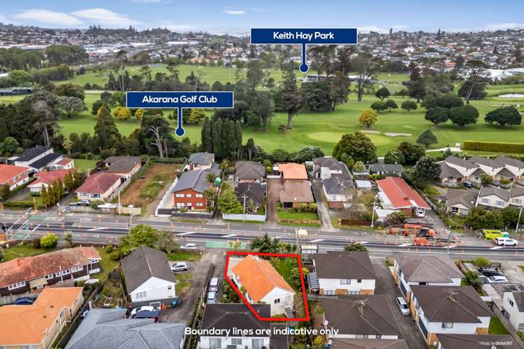 1157 Dominion Road Mt Roskill_13