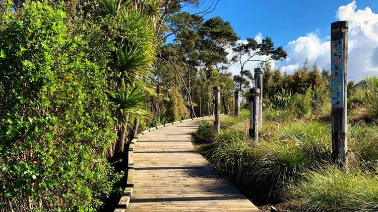 11 Oioi Road Hobsonville_23