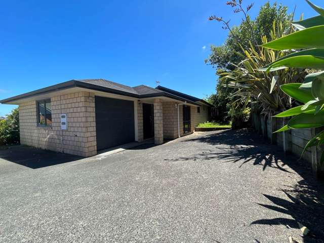 287 Blockhouse Bay Road Avondale_4