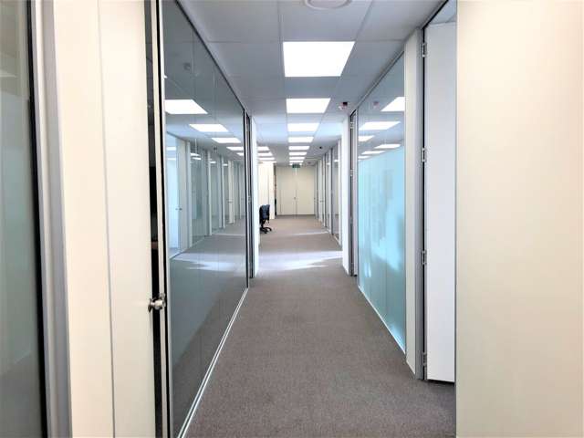 11 York Street Parnell_3