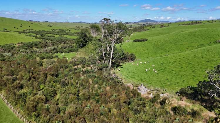 Lots 2-4/244 Lawrence Road Mangawhai_9