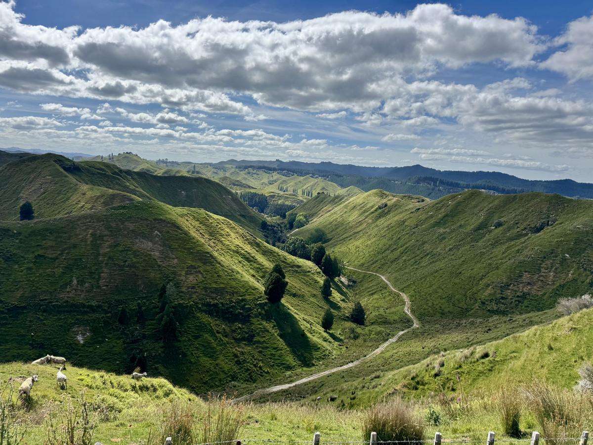 213 Parihauhau Road_0