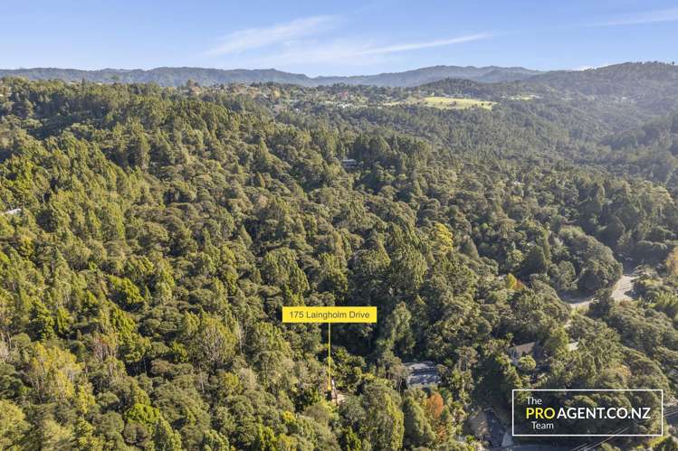 175 Laingholm Drive Laingholm_28