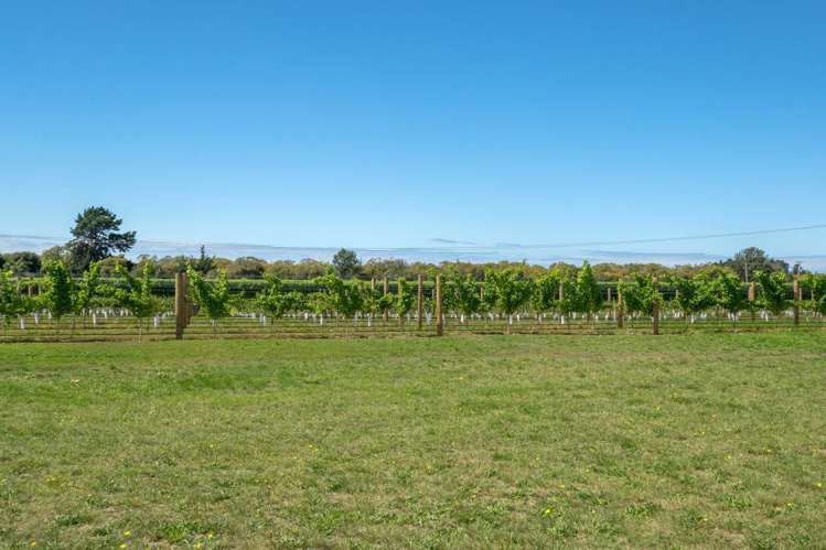 101 Flaxmill Drive Rarangi_20