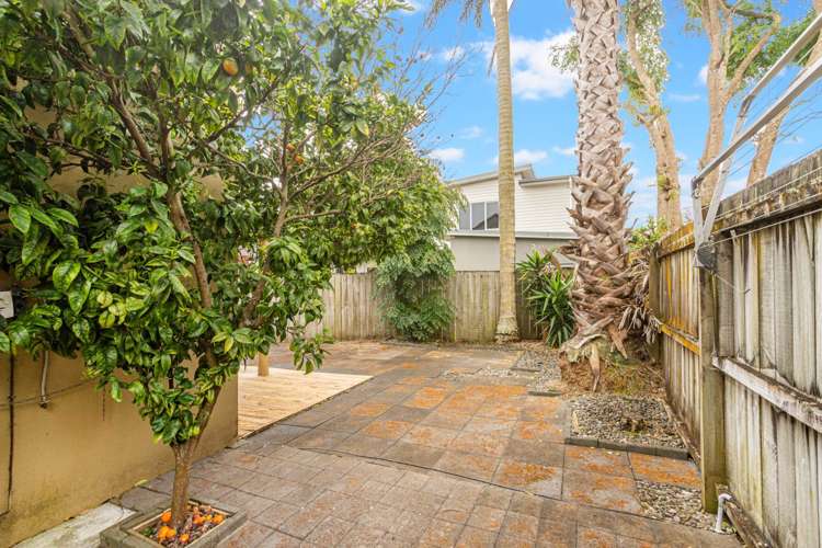 19B Kain Street Mt Eden_1