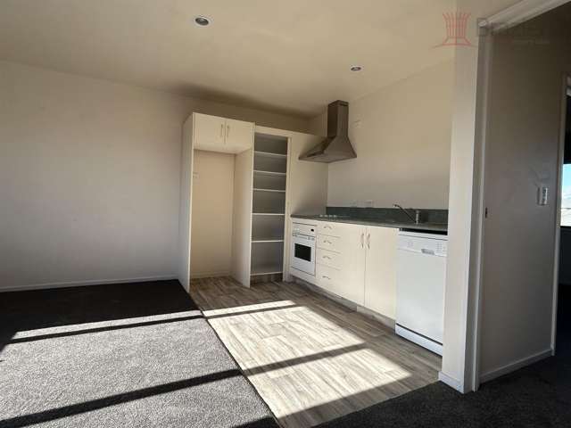 10 Burdale Street Riccarton_2