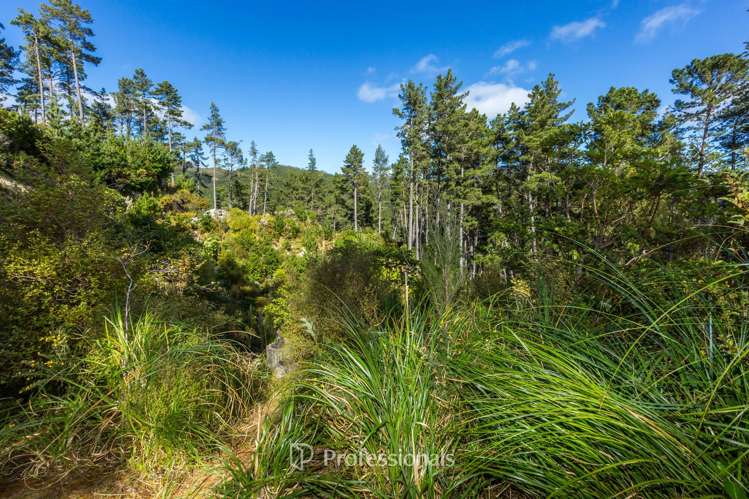 111 and 113 Blue Mountains Road Blue Mountains_9