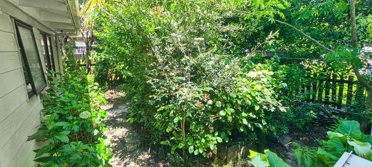 26 Hexham Street Warkworth_16