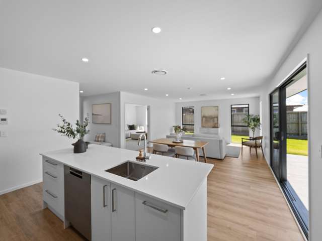 15 Orwell Way Hampstead_3