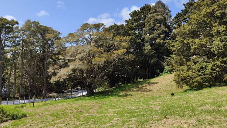 Lot 2, 581 Valley Road Kaiwaka_2