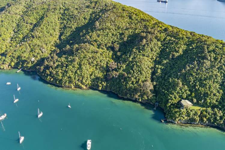 The Snout Waikawa Bay Picton_8