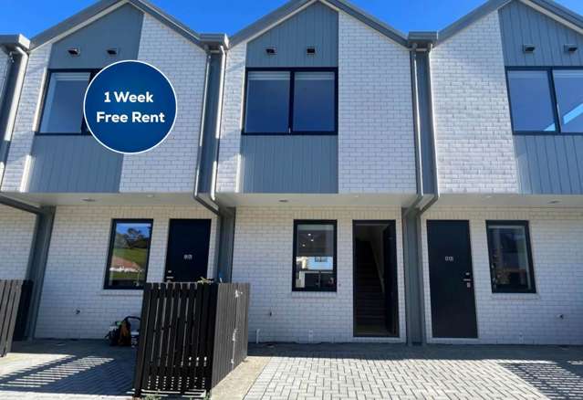 Beautiful Brand New Home
