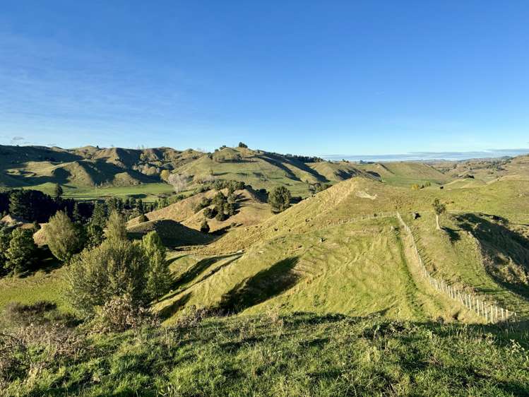 894 Otuarei Road Taihape Rangitikei Rural Property For Sale One