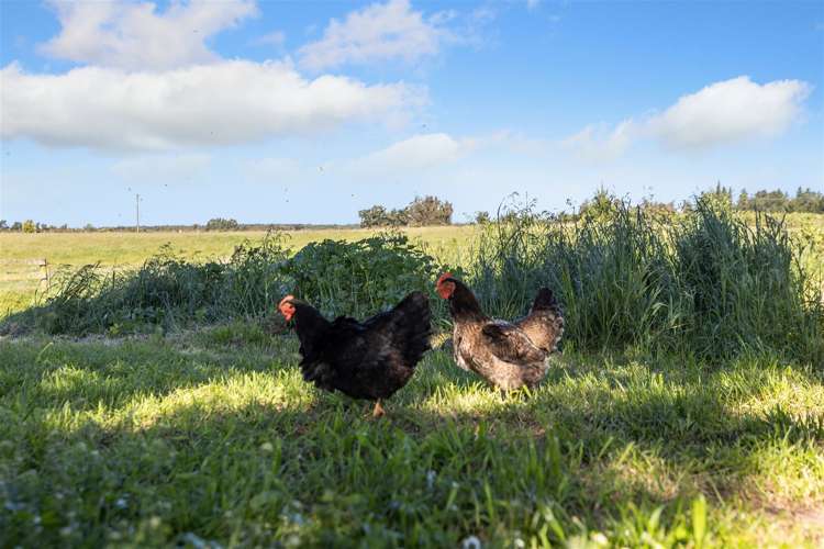 26 Criglingtons Road Sefton_7