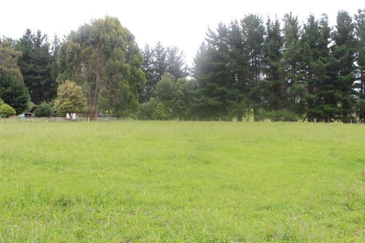 272 Potts Road Koputaroa_21