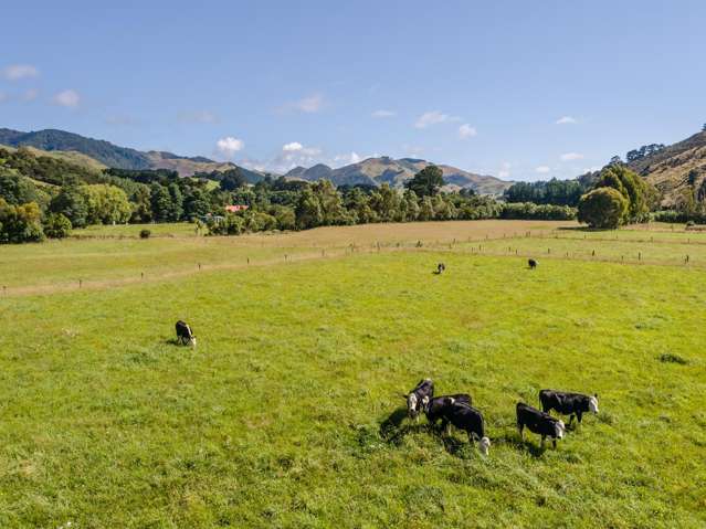 89 Hinau Gully Road Carterton_3