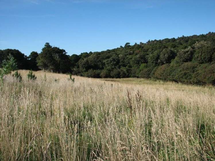 25 Tahakopa Valley Road Papatowai/Pounawea_15