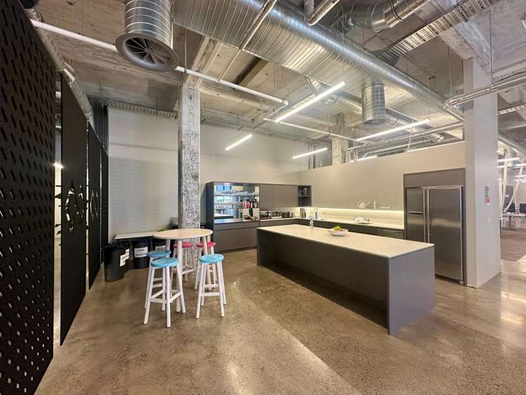 24 Balfour Road Parnell_6