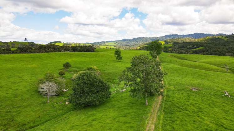 1177c East Coast Road Kaiaua_7