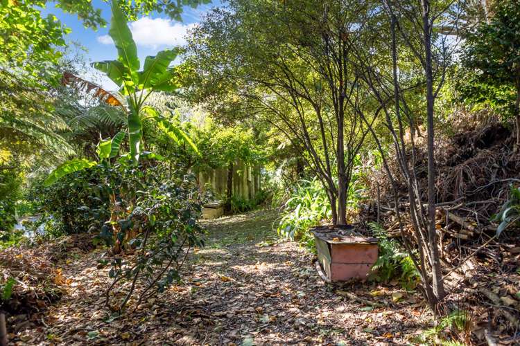 2 Rangikapiti Road Coopers Beach_22