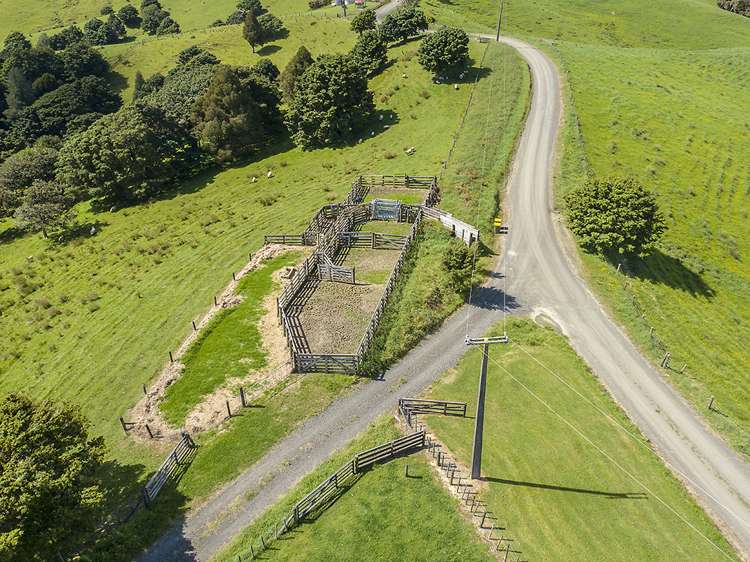 306 Shanks Road Helensville_15