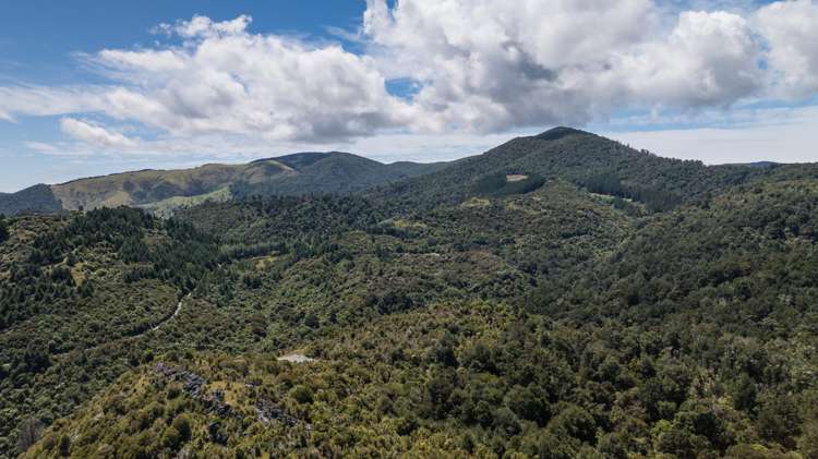 Lot 1 Rameka Creek Road Takaka_8