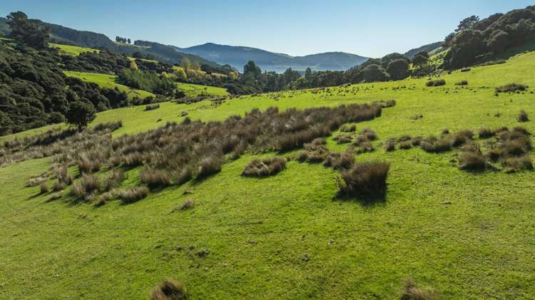 168-240 Purau Port Levy Road Purau_16